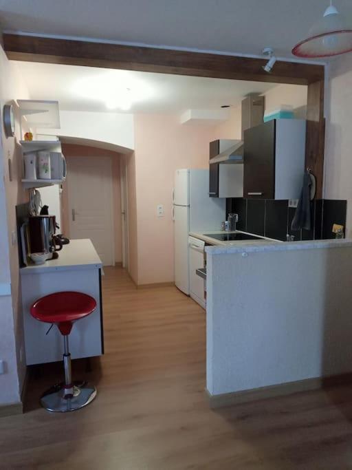 Residence Gascogne, Appartement Rose Boreal Eaux-Bonnes Zewnętrze zdjęcie
