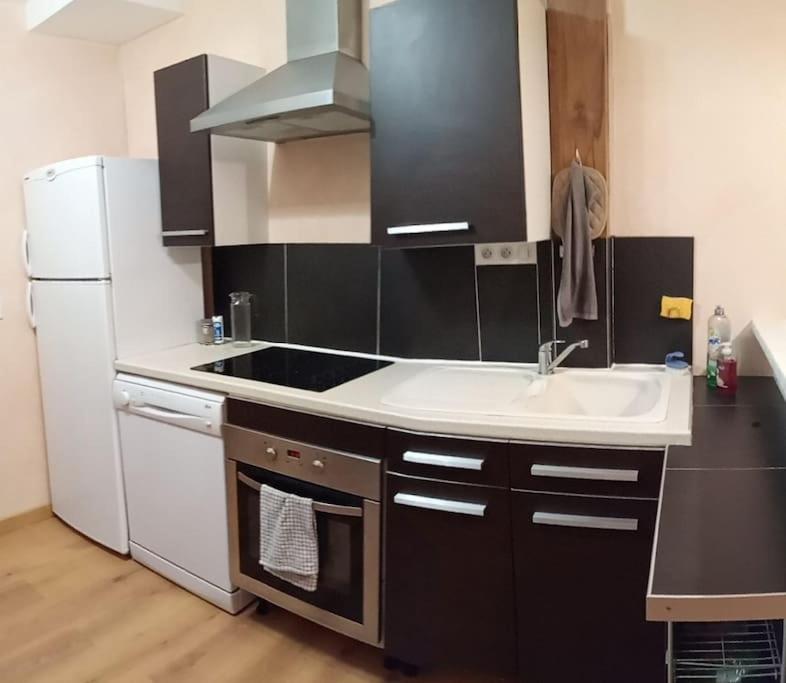 Residence Gascogne, Appartement Rose Boreal Eaux-Bonnes Zewnętrze zdjęcie